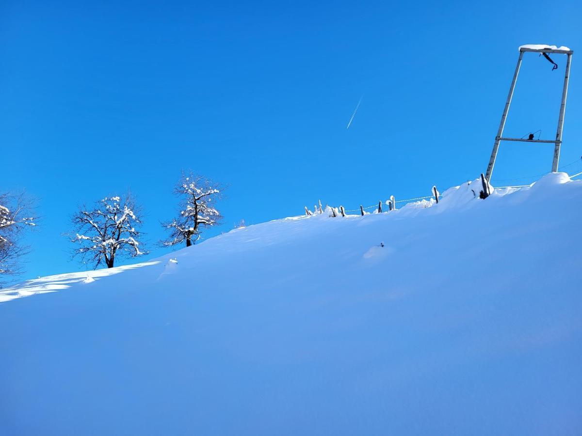 Bergbauernhof-Grinzens 아파트 외부 사진